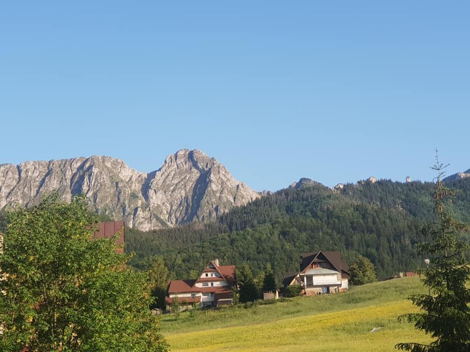 Willa Limba Kościelisko Esterno foto