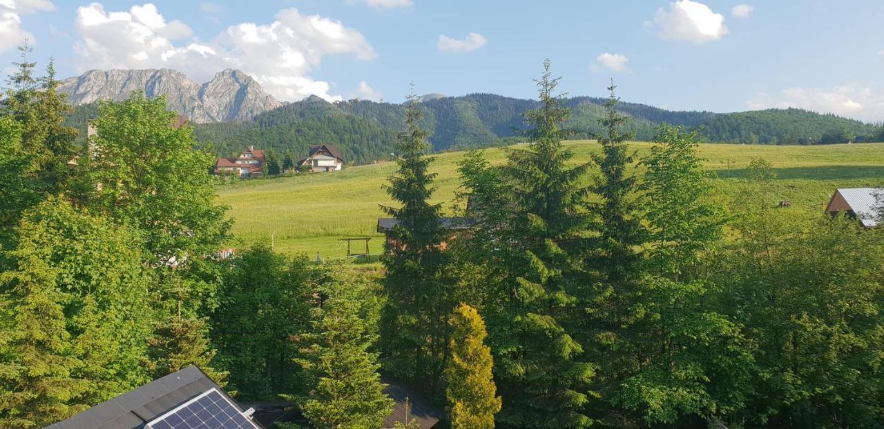 Willa Limba Kościelisko Esterno foto