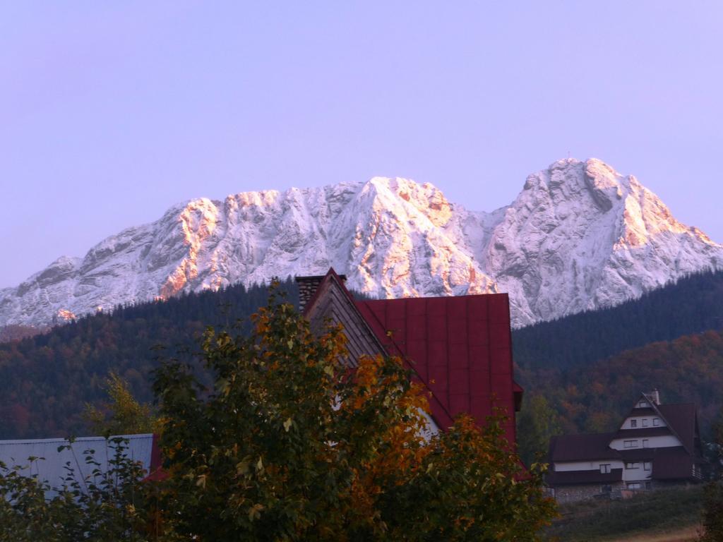 Willa Limba Kościelisko Esterno foto