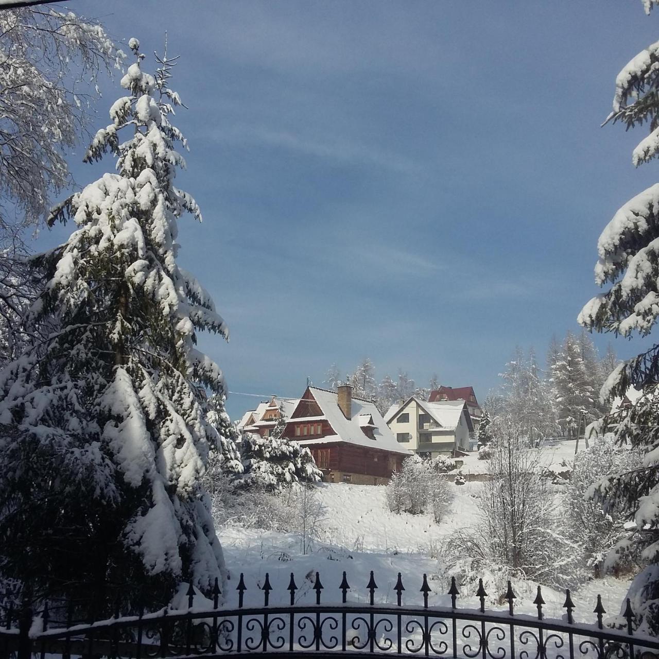 Willa Limba Kościelisko Esterno foto